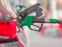 pexels-enginakyurt-20500734