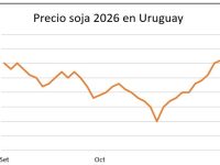 whatsapp-image-2025-10-31-at-175410