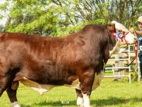 559189575_18093590476754084_1224124813005081493_n