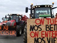 afp__20251219__88n87gc__v1__highres__francepoliticsagricultureprotest