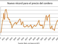 whatsapp-image-2025-11-28-at-162621