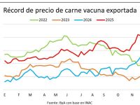 whatsapp-image-2025-12-05-at-155738-3