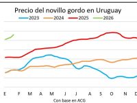 whatsapp-image-2026-01-23-at-142701