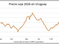 whatsapp-image-2026-02-07-at-092122-1