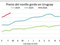 whatsapp-image-2026-02-27-at-114412