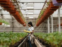 pexels-tima-miroshnichenko-6510867