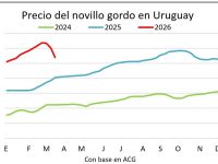 whatsapp-image-2026-03-27-at-114727