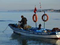 pexels-abdulaziz-yesilbas-190703286-11468131