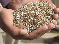 pexels-kkwritesofficial-31673795