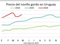 whatsapp-image-2026-04-24-at-115143