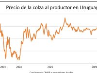 whatsapp-image-2026-04-24-at-203916