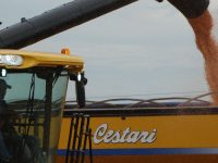 Fuerte sacudida en el mercados de granos con caídas de precios entre 5% y 6% dsc03346-x