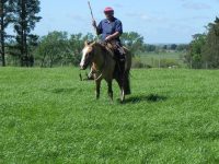 MGAP extendió los plazos de convocatorias a productores que pueden beneficiarse con tres programas dscn7952
