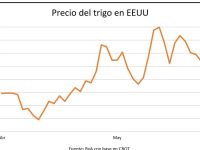 El precio del trigo se desploma en una semana de ajustes para los granos whatsapp-image-2026-05-30-at-004940-2