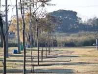 Conmemoración especial en Bella Unión: plantaron 20 ibirapitás por el Día Mundial del Medio Ambiente whatsapp-image-2026-06-05-at-183649-1