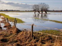 A dos meses de la llegada de El Niño, la lista de oportunidades y amenazas para el agro de Uruguay pexels-toon-de-vos-11925052-6208447