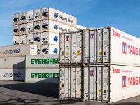 Primer semestre para las exportaciones de carnes uruguayas cerró con una buena y dos no tanto pexels-wolfgang-weiser-467045605-30748602