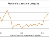 Los granos siguen al alza y en Uruguay alcanzan los mayores precios en años whatsapp-image-2026-07-17-at-190844-1-1
