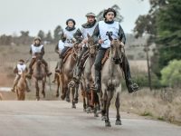 Canallos - 10